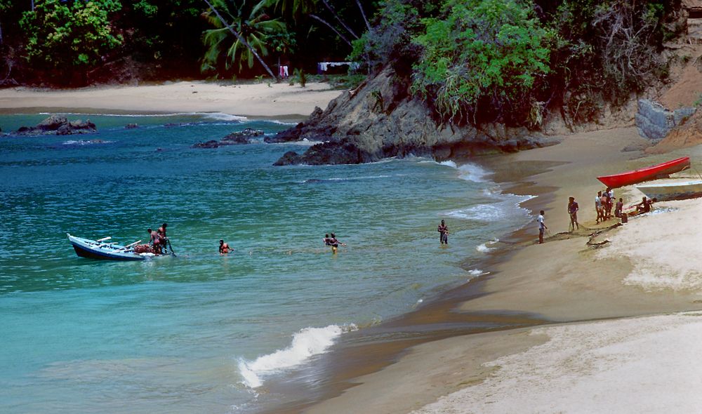 Fischer auf Tobago