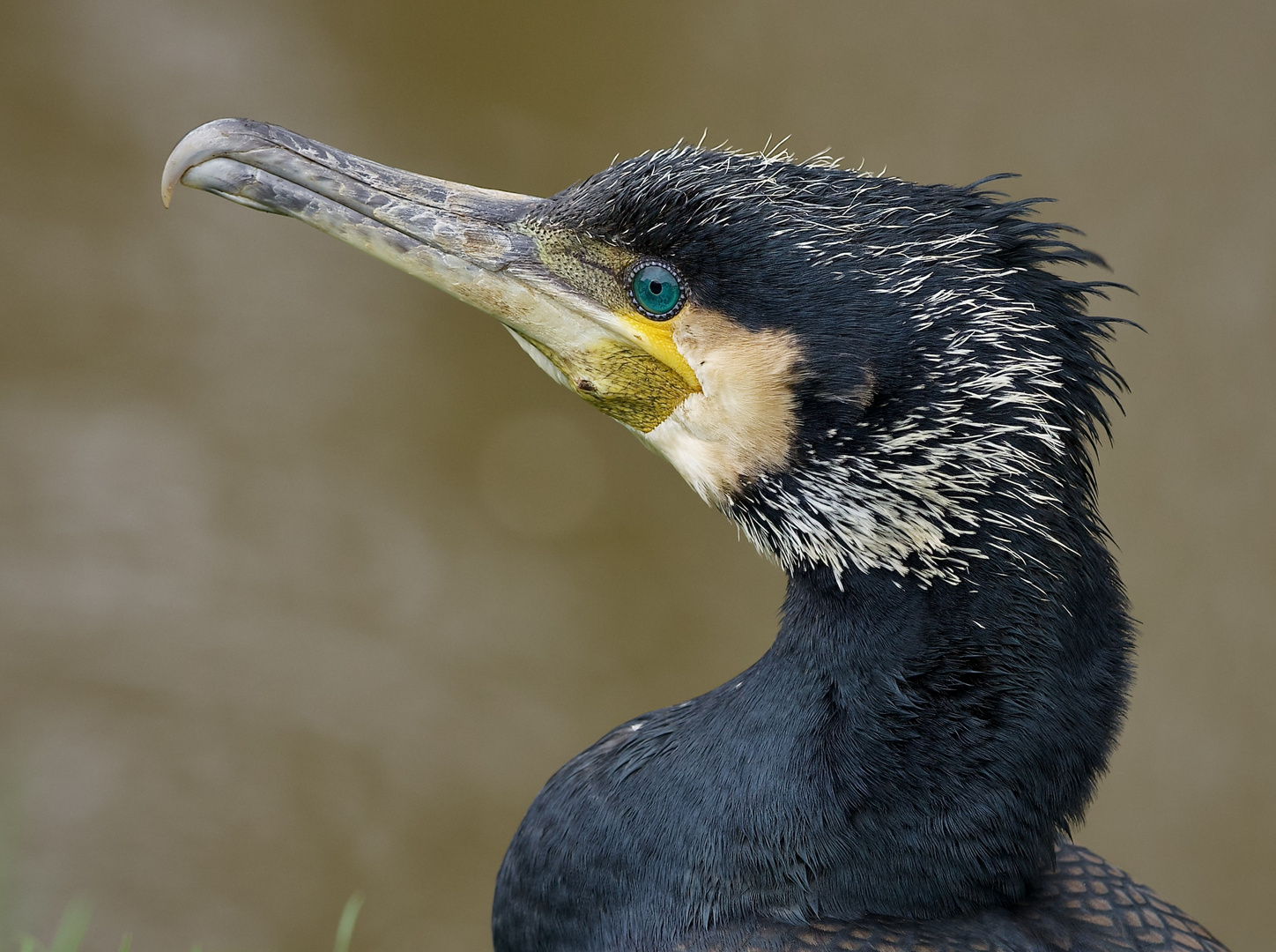 Fischer aus Passion.....