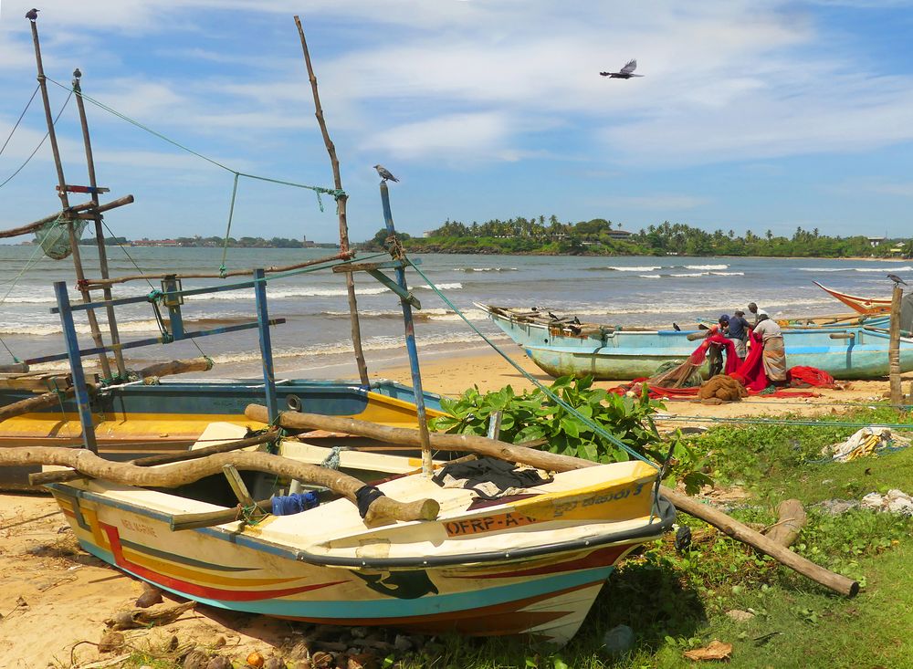 Fischer bei Galle