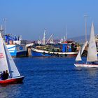 Fischer Hafen, Saldanha