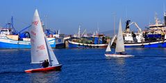 Fischer Hafen, Saldanha