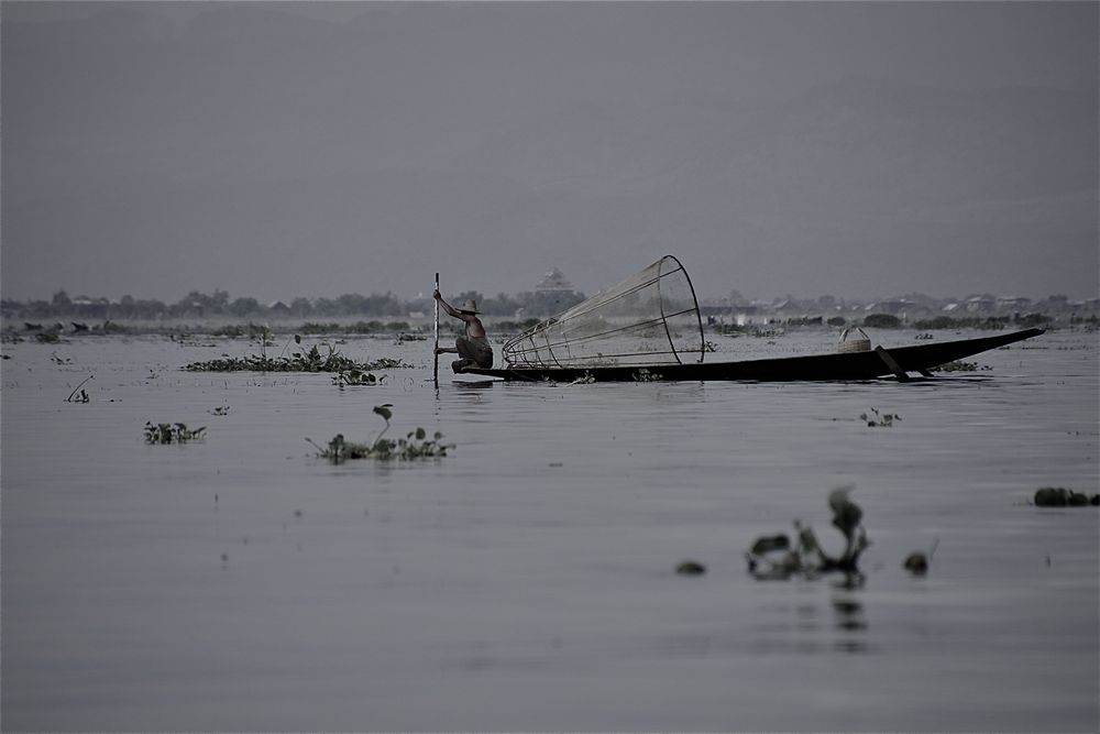 fischer II, inle see, burma 2011