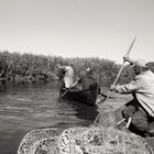 Fischer im Delta