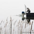 Fischer im Fischerboot bei der Kontrolle seiner Aalreusen bei Nebel auf dem Steinhuder Meer