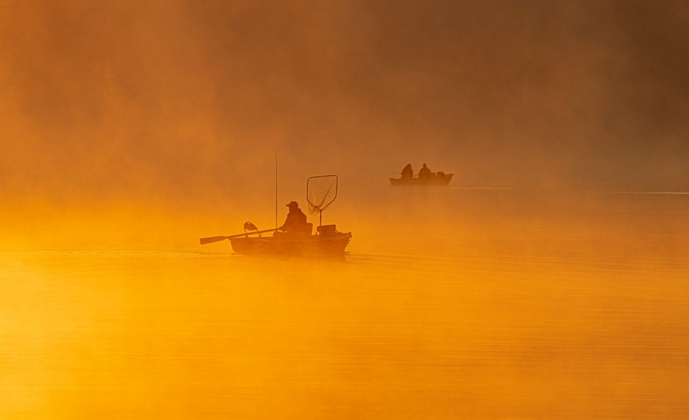 Fischer  im Goldwasser 