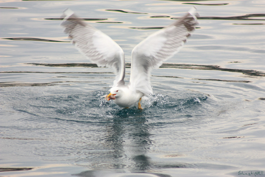 Fischer im Hafen ...