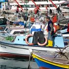 Fischer im Hafen von Antalya