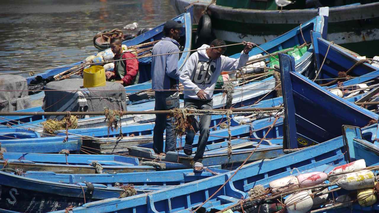 Fischer im Hafen/Assaouira