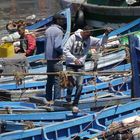 Fischer im Hafen/Assaouira