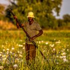 Fischer im Okavango...