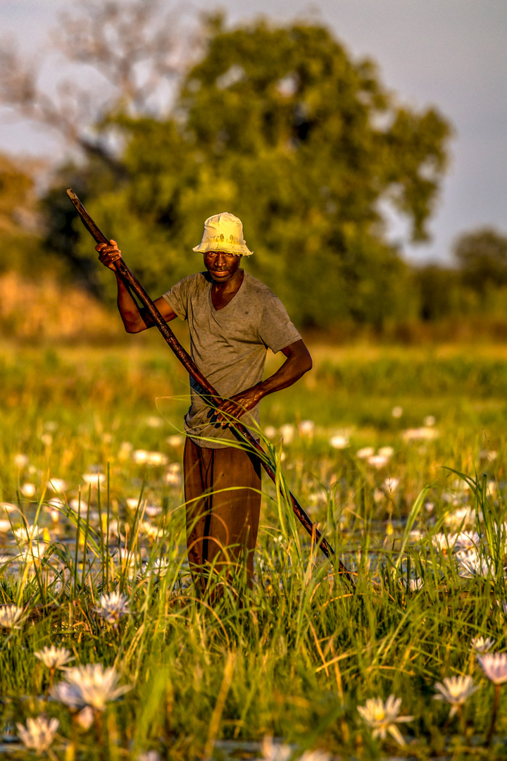 Fischer im Okavangodelta