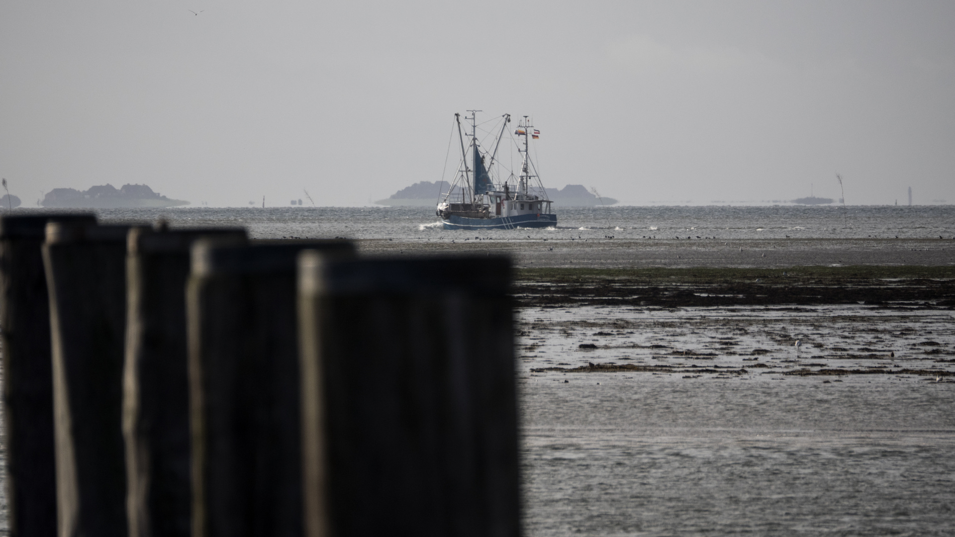 Fischer im Wattenmeer