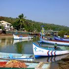 Fischer in Baga Goa