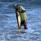 FISCHER IN BAHIA BRASILIEN