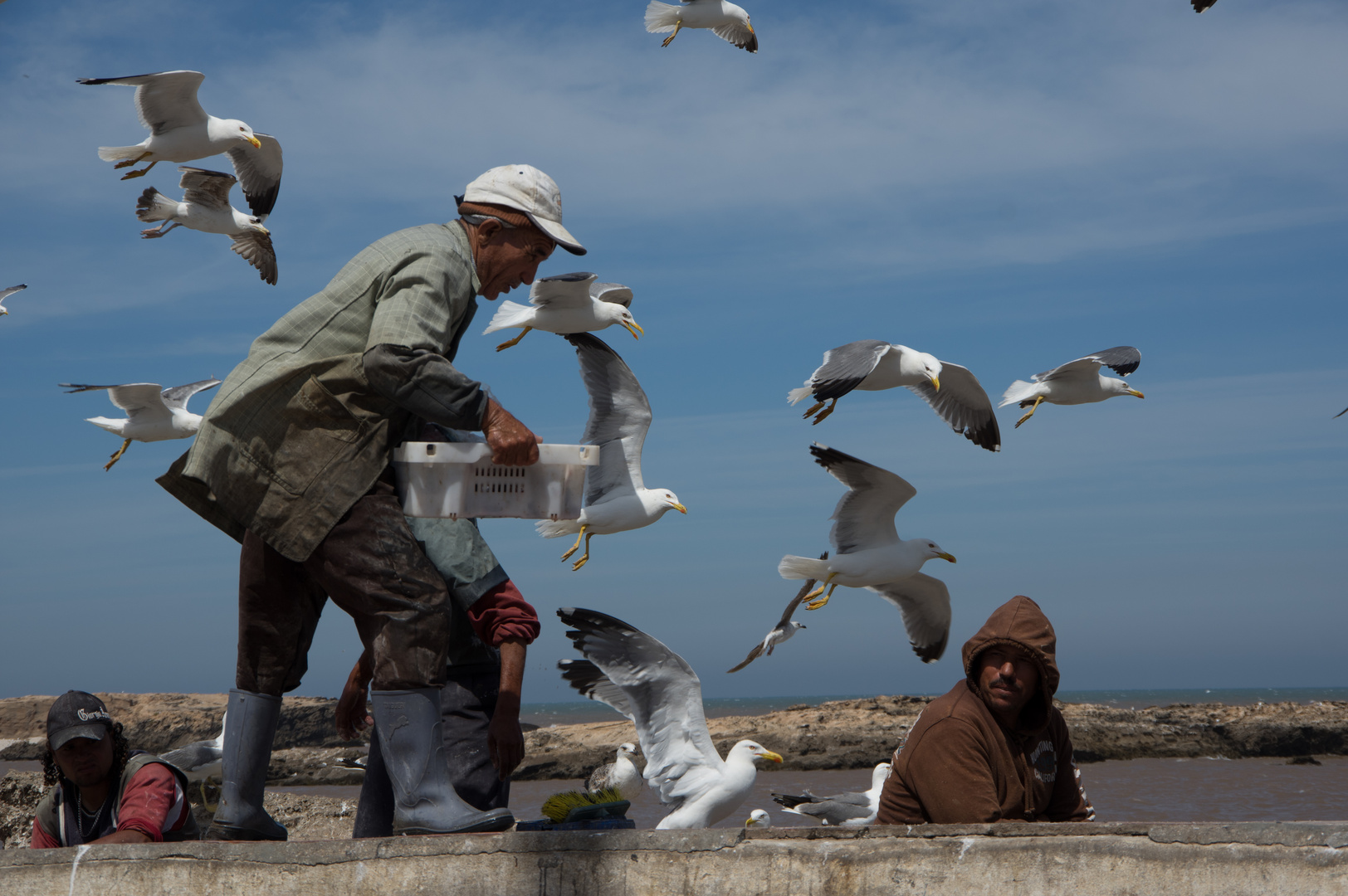 Fischer in Essaouira