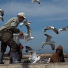 Fischer in Essaouira