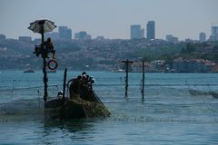 Fischer in Istanbul-Beykoz