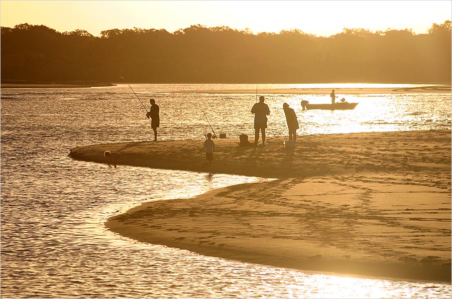 Fischer in Noosa Heads