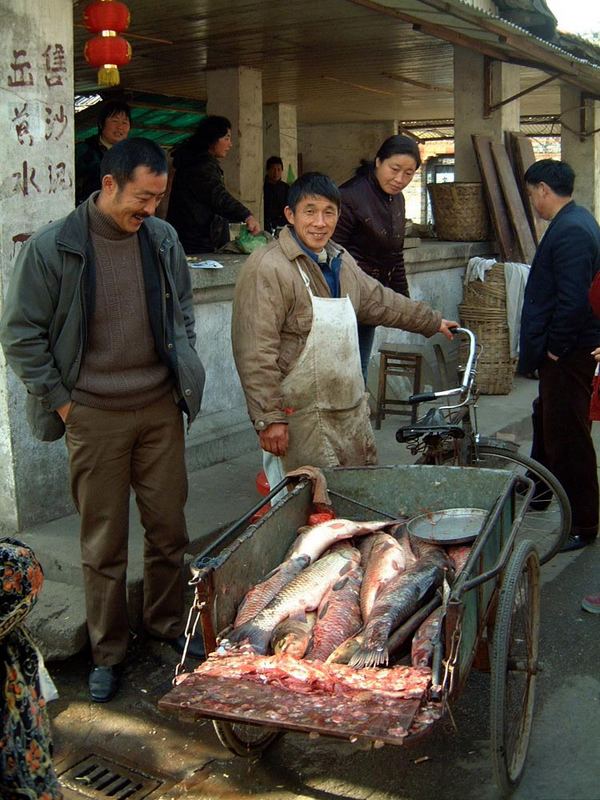 Fischer in Yangzhou