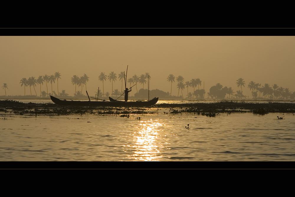 "Fischer", Kerala 2007