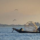 Fischer oder Vogelfänger auf dem Inle-Lake