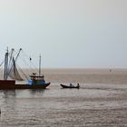 Fischer vom Ijsselmeer