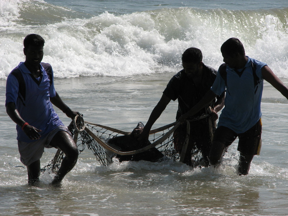 Fischer von Mahabalipuram 2