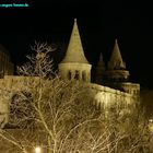 Fischerbastei in frostiger Nacht