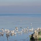 FISCHERBOOT AM AMMERSEE