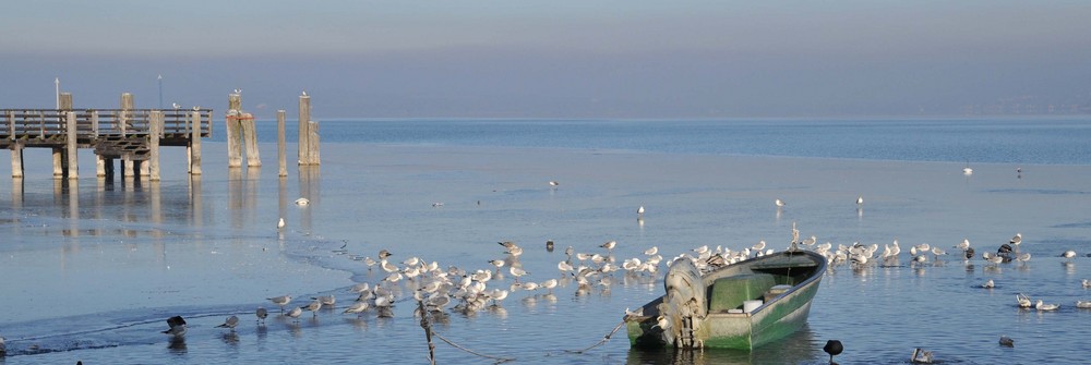 FISCHERBOOT AM AMMERSEE