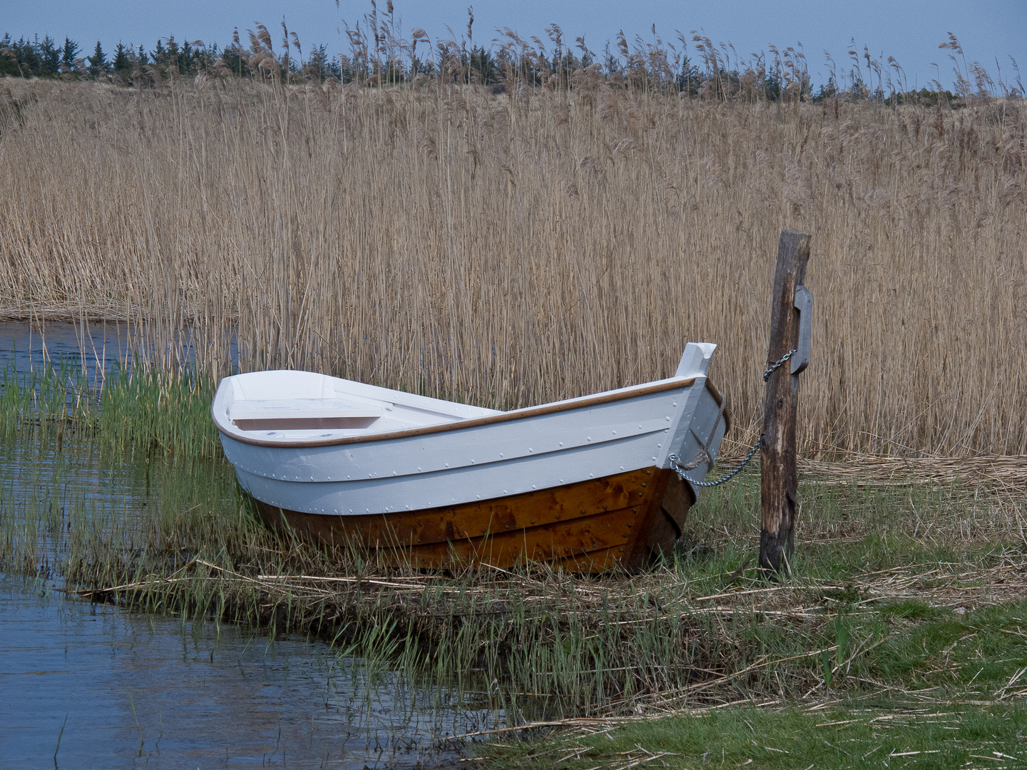 Fischerboot am Fjord...