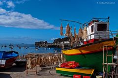 Fischerboot am Hafen Camara de Lobos