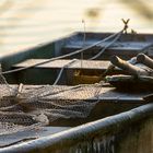 Fischerboot am Rhein 