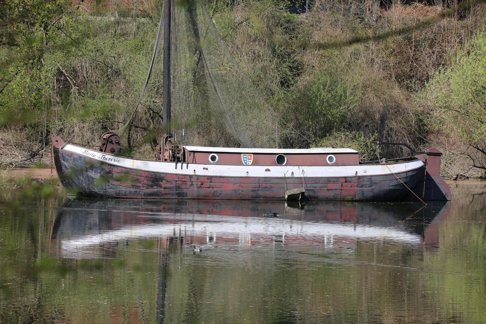 Fischerboot am Rhein