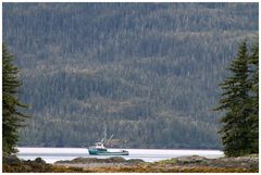 Fischerboot bei Valdez