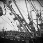 Fischerboot - Fisherman's Terminal - Seattle