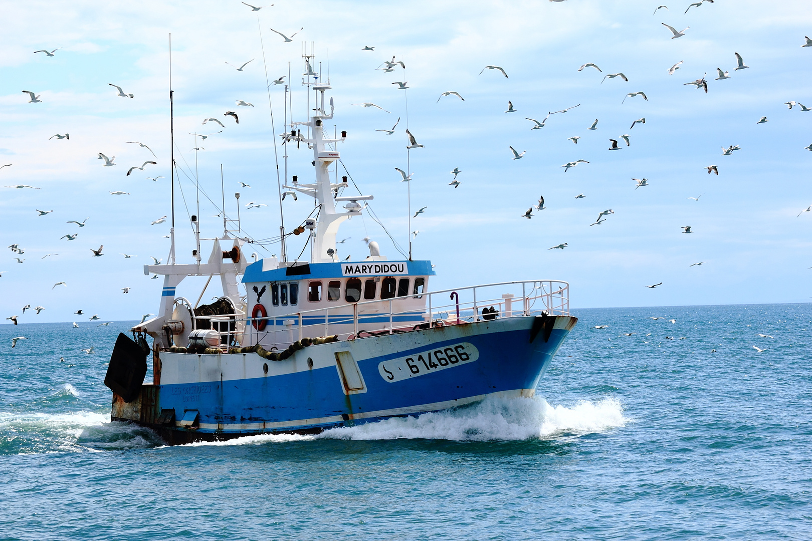 Fischerboot Grau d'Adge