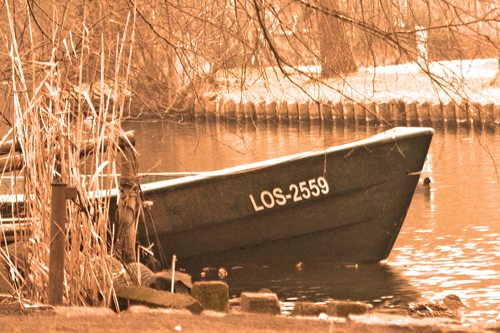 Fischerboot im Frühjahr