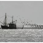 Fischerboot im Gegenlicht