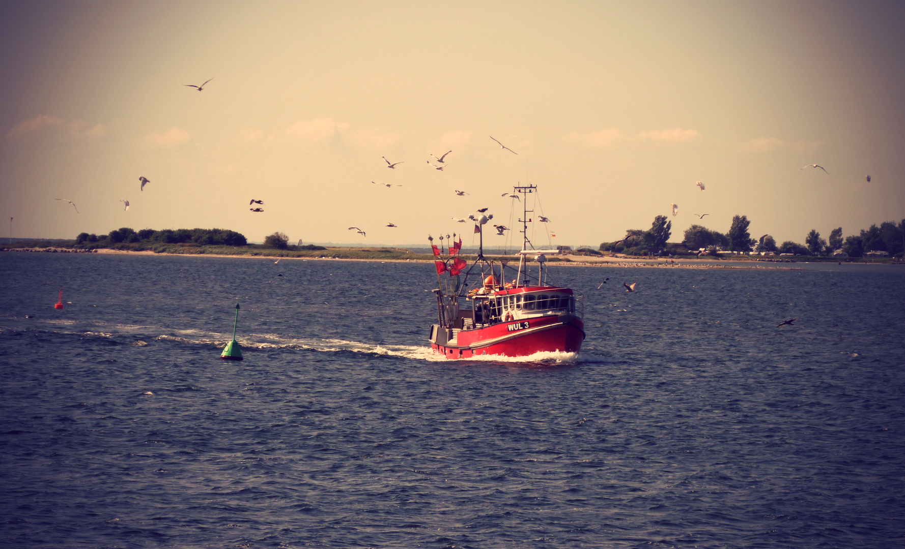 Fischerboot im Hafen von Burgstaaken