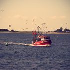 Fischerboot im Hafen von Burgstaaken