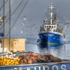 Fischerboot im Hafen von Rovinj