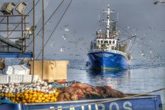 Fischerboot im Hafen von Rovinj