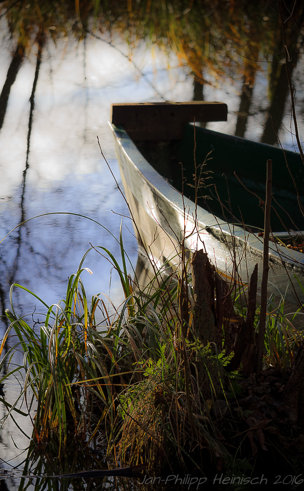 Fischerboot im Wald