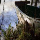 Fischerboot im Wald