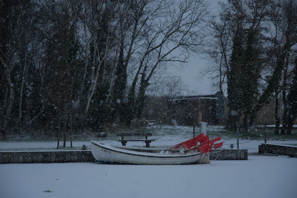 Fischerboot in Althagen