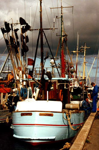 Fischerboot in Bagenkop