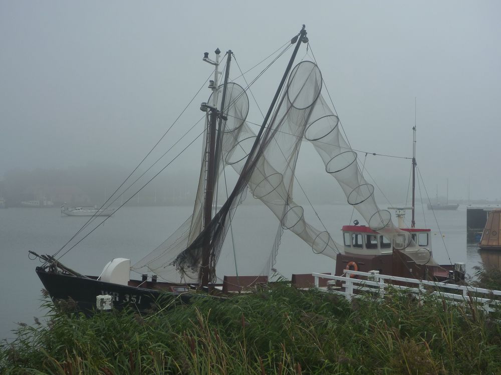 Fischerboot in Enkhuizen (NL)