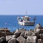 Fischerboot in Sant' Angelo