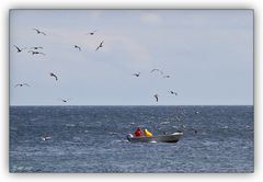 Fischerboot mit Möwen